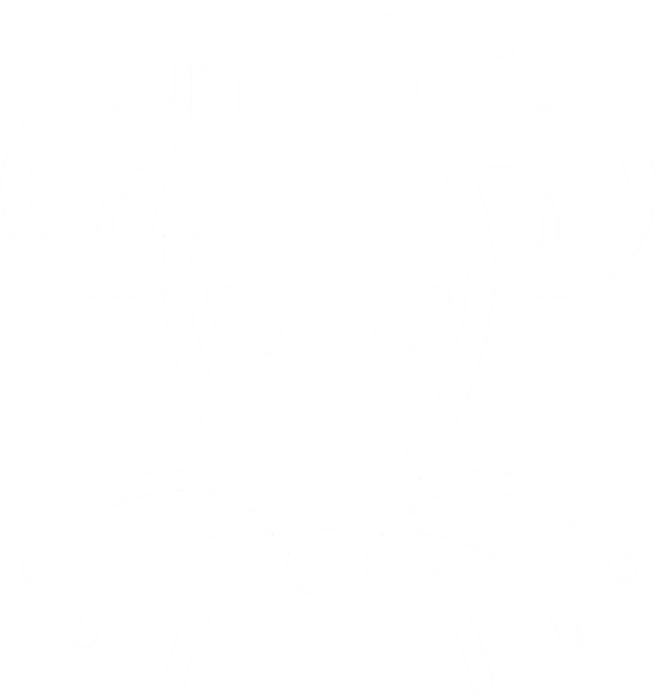 Studiz Logo